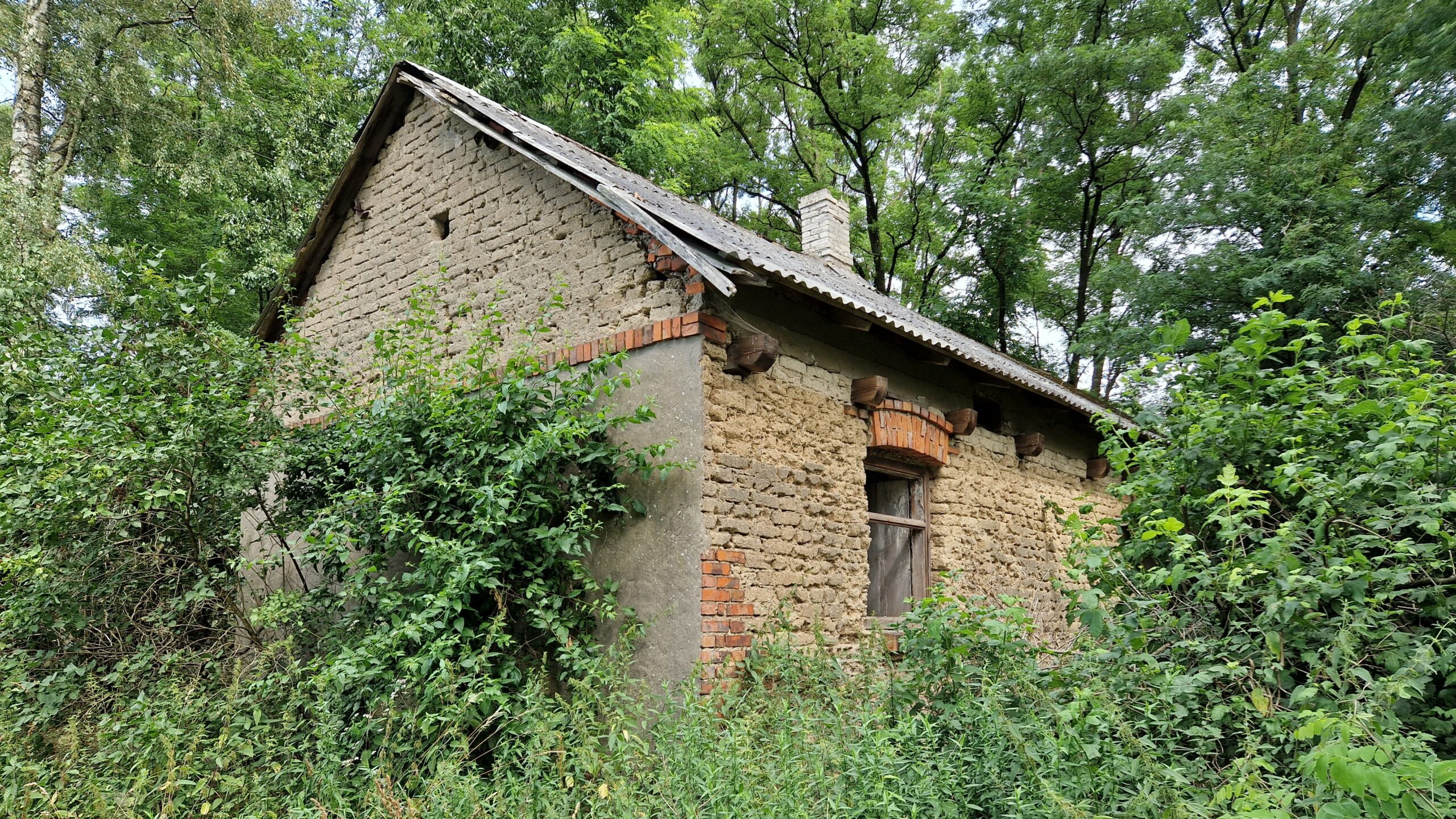 Działka rolno budowlana z WZ koło Mszczonowa