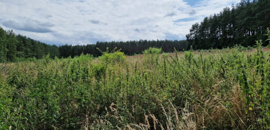 Działka rolno budowlana z WZ koło Mszczonowa