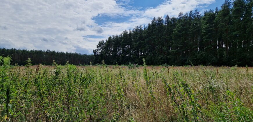 Działka rolno budowlana z WZ koło Mszczonowa