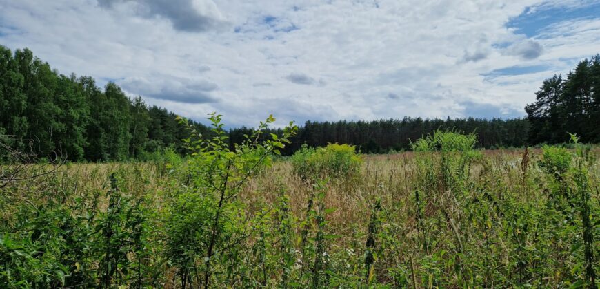 Działka rolno budowlana z WZ koło Mszczonowa