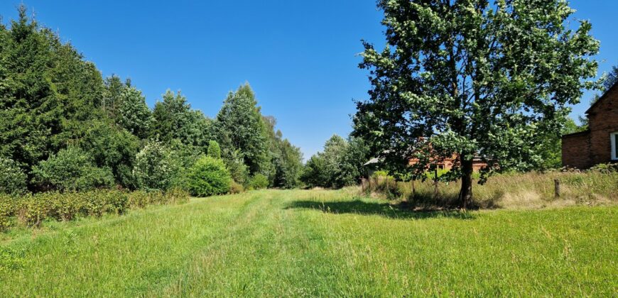 Siedlisko w Słabomierzu