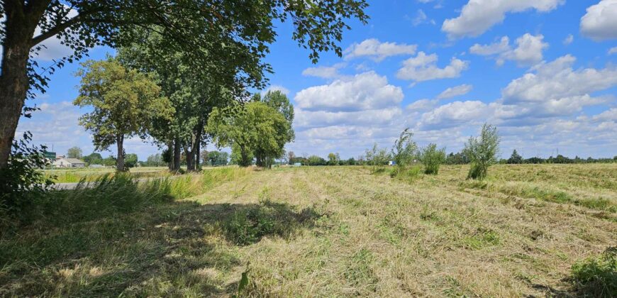 Działki budowlane w atrakcyjnych cenach Bieniewo Parcela