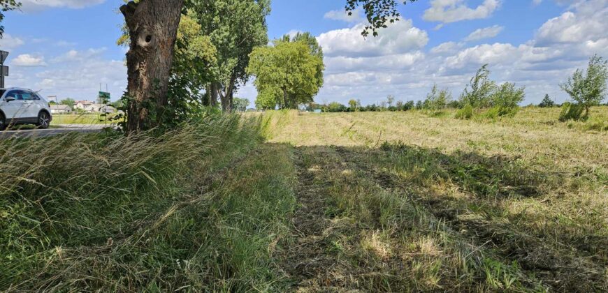 Działki budowlane w atrakcyjnych cenach Bieniewo Parcela