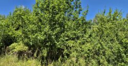 Urokliwa działka widokowa o powierzchni 3300 m² w malowniczej okolicy!