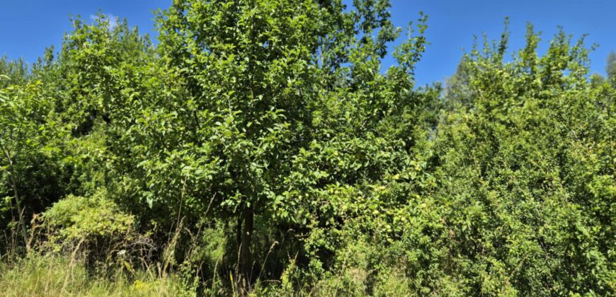 Urokliwa działka widokowa o powierzchni 3300 m² w malowniczej okolicy!