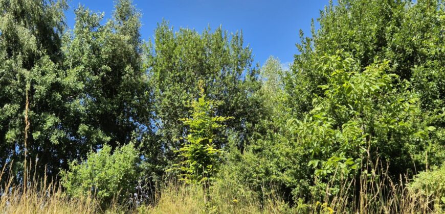 Urokliwa działka widokowa o powierzchni 3300 m² w malowniczej okolicy!