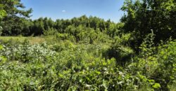 Urokliwa działka widokowa o powierzchni 3300 m² w malowniczej okolicy!