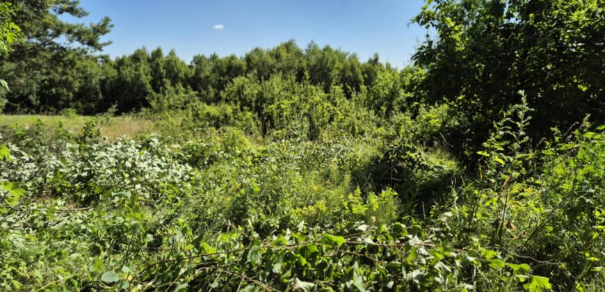 Urokliwa działka widokowa o powierzchni 3300 m² w malowniczej okolicy!