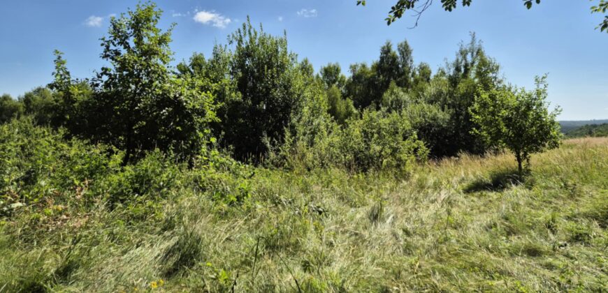 Urokliwa działka widokowa o powierzchni 3300 m² w malowniczej okolicy!