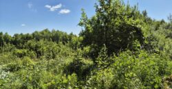 Urokliwa działka widokowa o powierzchni 3300 m² w malowniczej okolicy!