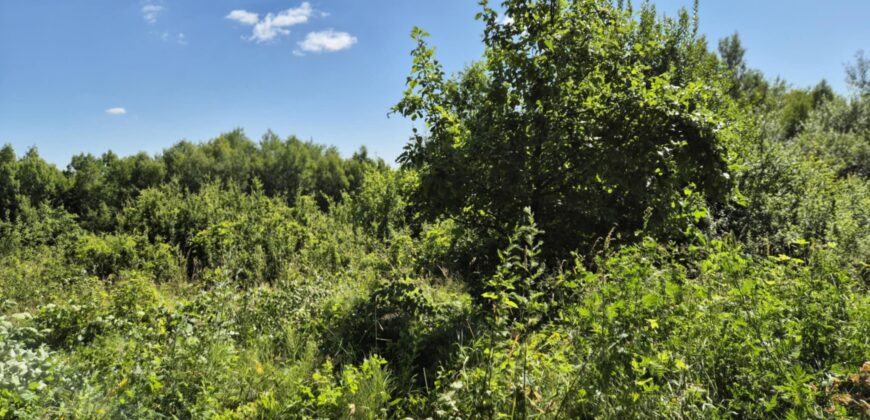 Urokliwa działka widokowa o powierzchni 3300 m² w malowniczej okolicy!