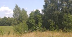 Urokliwa działka widokowa o powierzchni 3300 m² w malowniczej okolicy!