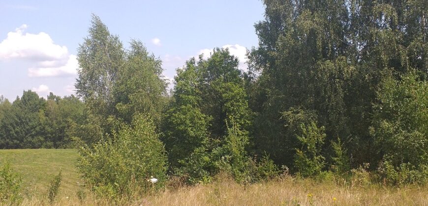 Urokliwa działka widokowa o powierzchni 3300 m² w malowniczej okolicy!