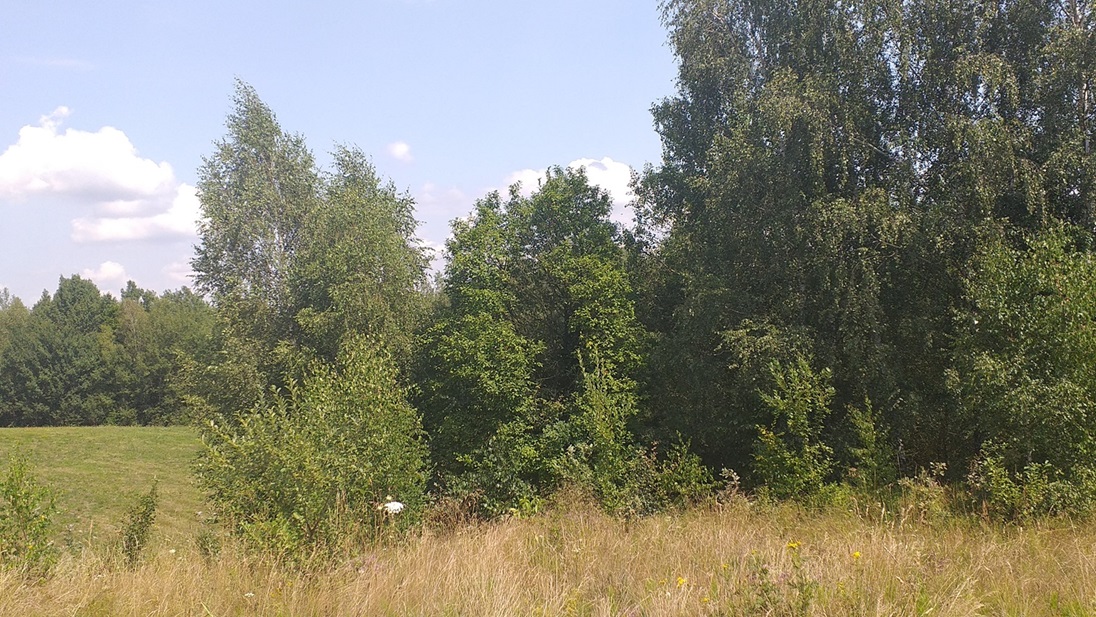 Urokliwa działka widokowa o powierzchni 3300 m² w malowniczej okolicy!
