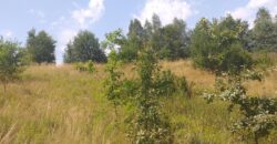 Urokliwa działka widokowa o powierzchni 3300 m² w malowniczej okolicy!