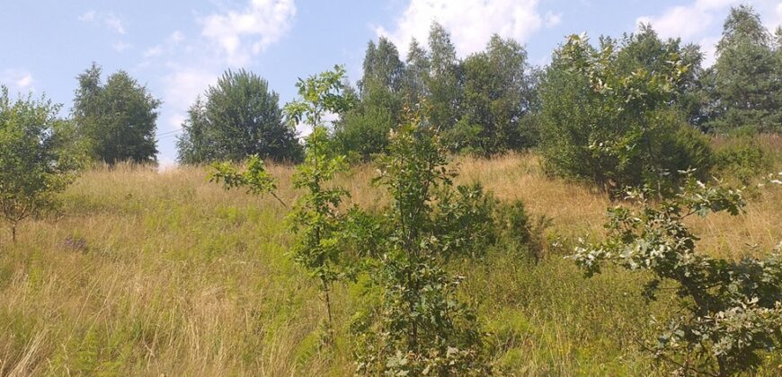 Urokliwa działka widokowa o powierzchni 3300 m² w malowniczej okolicy!