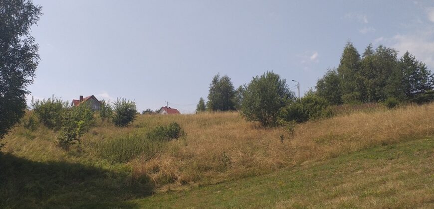 Urokliwa działka widokowa o powierzchni 3300 m² w malowniczej okolicy!
