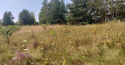 Urokliwa działka widokowa o powierzchni 3300 m² w malowniczej okolicy!