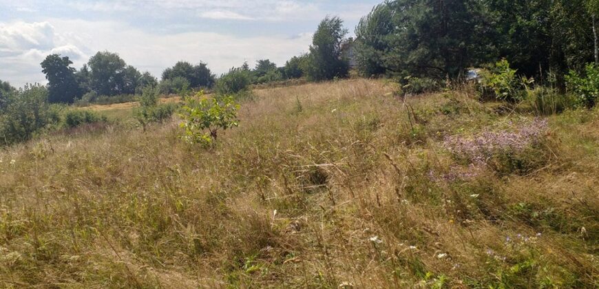 Urokliwa działka widokowa o powierzchni 3300 m² w malowniczej okolicy!