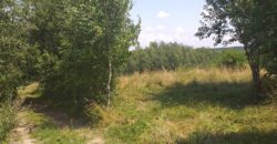 Urokliwa działka widokowa o powierzchni 3300 m² w malowniczej okolicy!