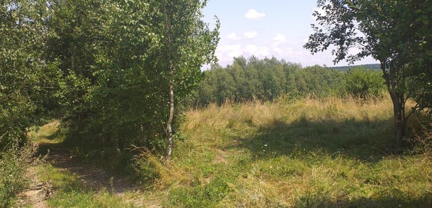 Urokliwa działka widokowa o powierzchni 3300 m² w malowniczej okolicy!