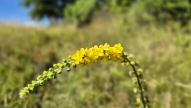 Urokliwa działka widokowa o powierzchni 3300 m² w malowniczej okolicy!