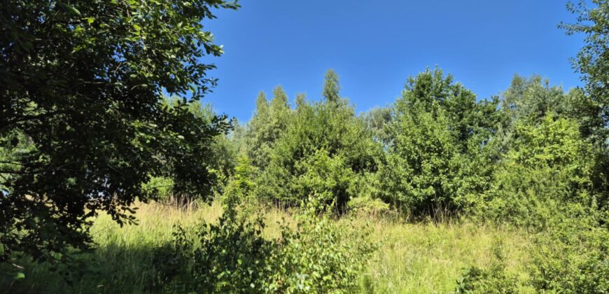 Urokliwa działka widokowa o powierzchni 3300 m² w malowniczej okolicy!