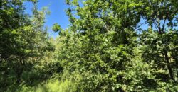 Urokliwa działka widokowa o powierzchni 3300 m² w malowniczej okolicy!