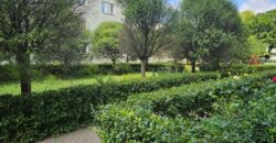 Trzypokojowe mieszkanie w centrum Błonia