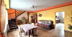 Dwurodzinny bliźniak w Bieniewicach