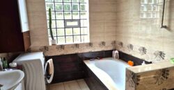 Dwurodzinny bliźniak w Bieniewicach