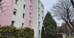 Kameralne mieszkanie w centrum Błonia