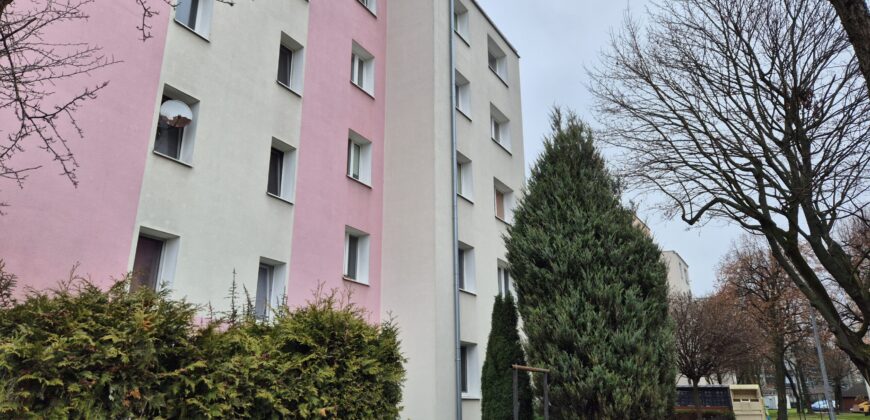 Kameralne mieszkanie w centrum Błonia