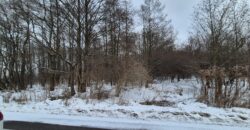 Działka przy lesie w Lesznie