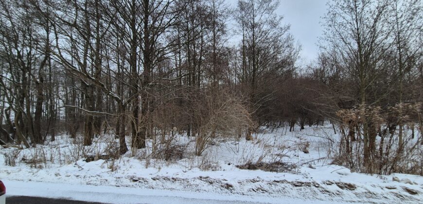Działka przy lesie w Lesznie