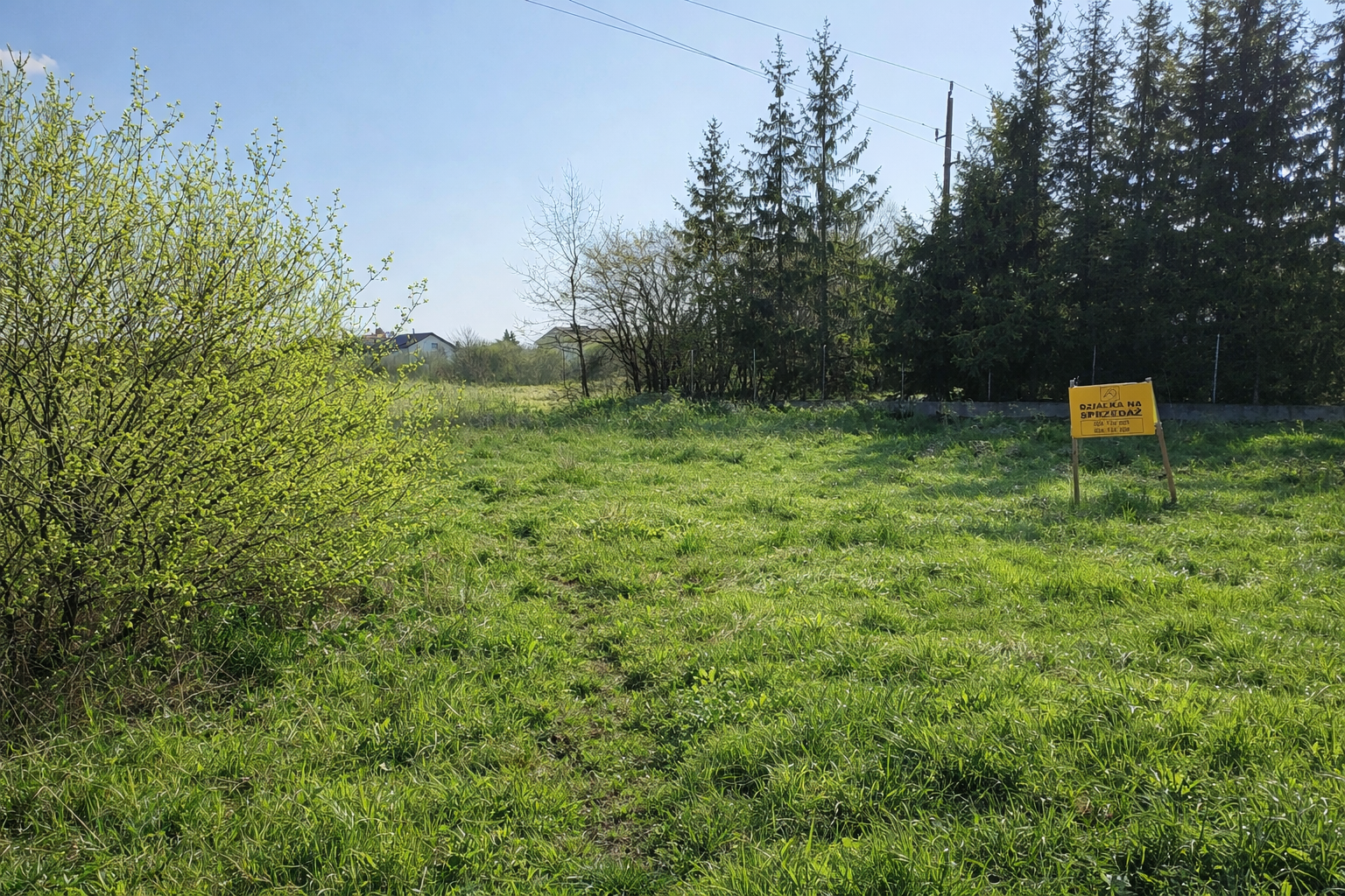Działka przy lesie w Lesznie