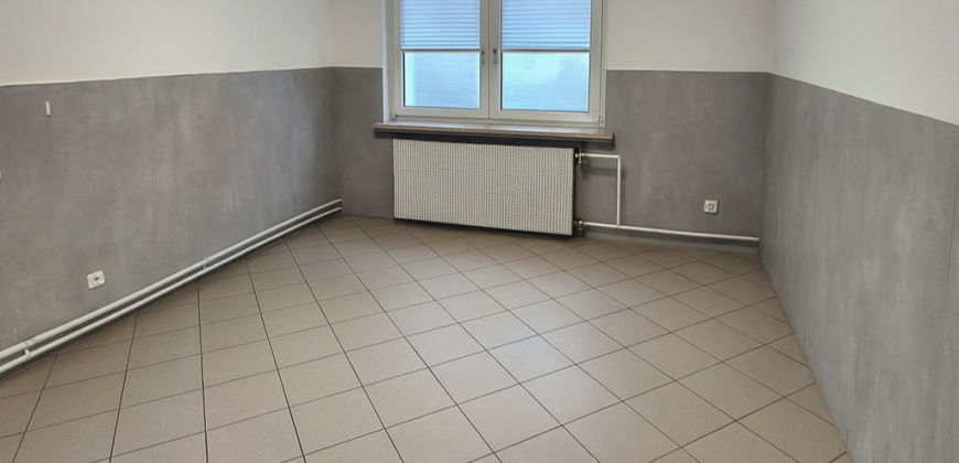 Kameralne mieszkanie w centrum Błonia