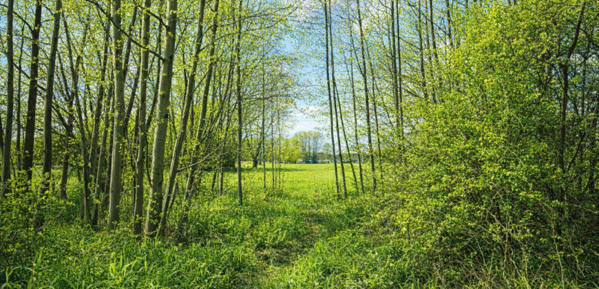 Działka budowlana w Kopiskach