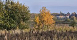 Działka nad Utratą Błonie