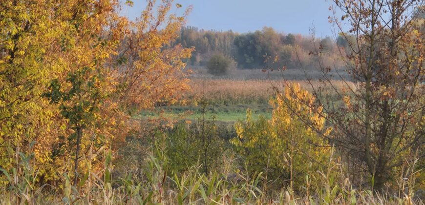 Działka nad Utratą Błonie